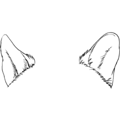 Wolf ears deals drawing