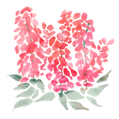 flower - CLIP STUDIO ASSETS
