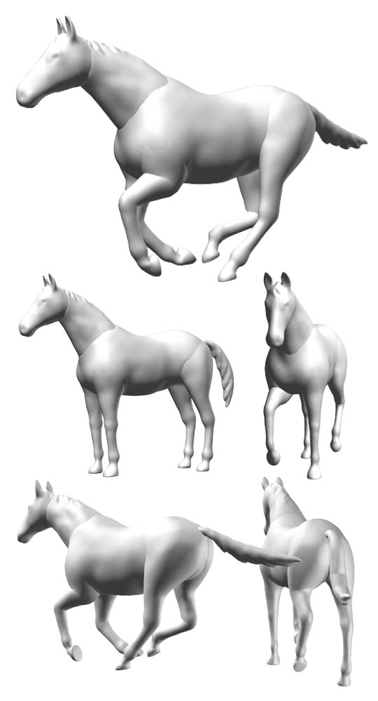 馬 Clip Studio Assets