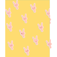 Usa-chan - CLIP STUDIO ASSETS