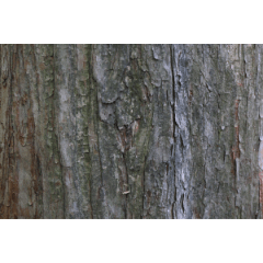 ウッドテクスチャ05 Clip Studio Assets