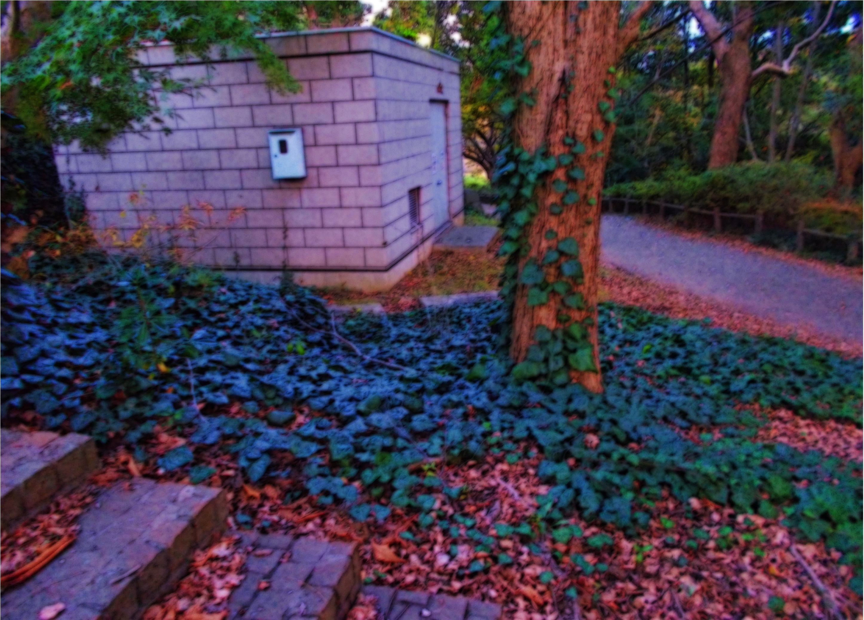Scenery 2dcg Nature Park Shigeru For The Background Masking Collage Clip Studio Assets